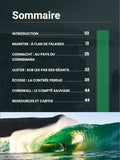 Ebook Irlande